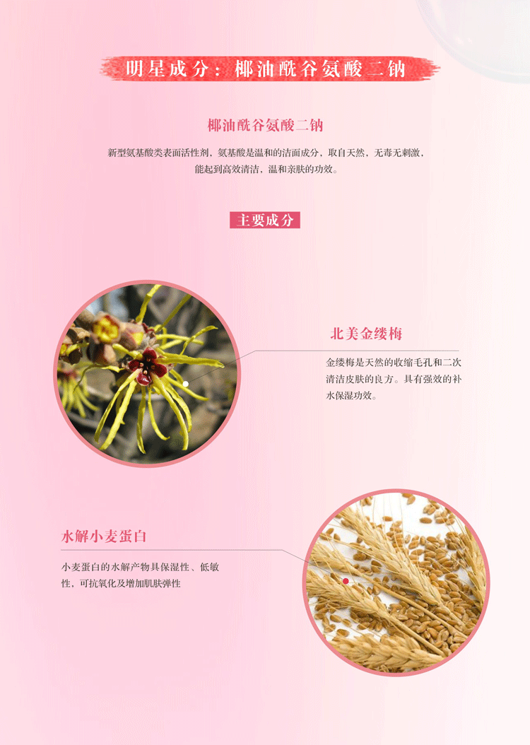 三年 适用肤质:任何肤质 产品成分:水,椰油酰基丙氨酸tea盐,甜菜碱,丁